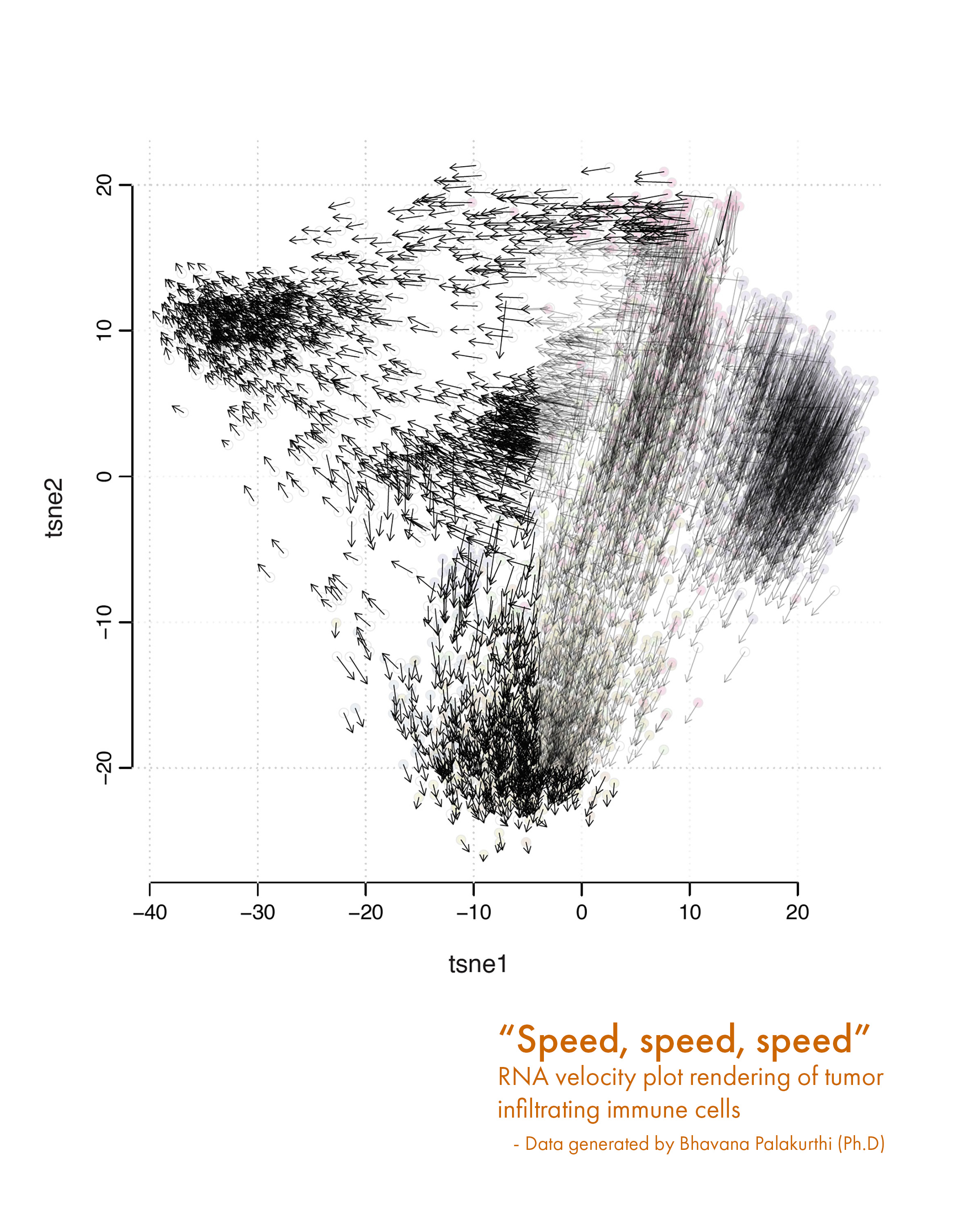 RNA Velocity