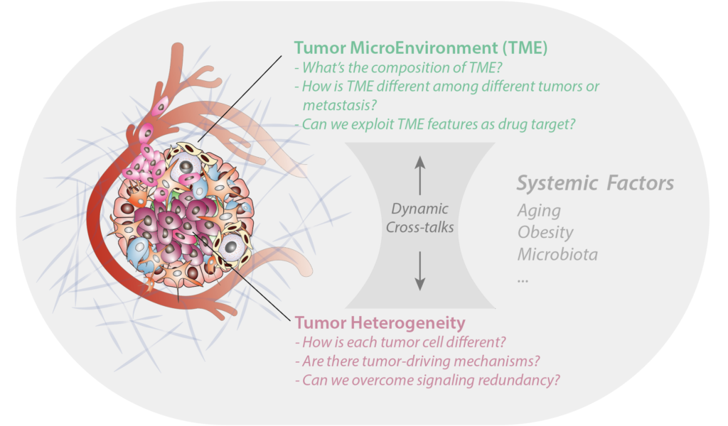 Tumor Microenvironment